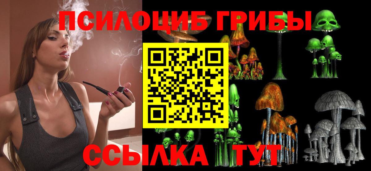 Псилоцибиновые грибы прущие грибы Лысьва